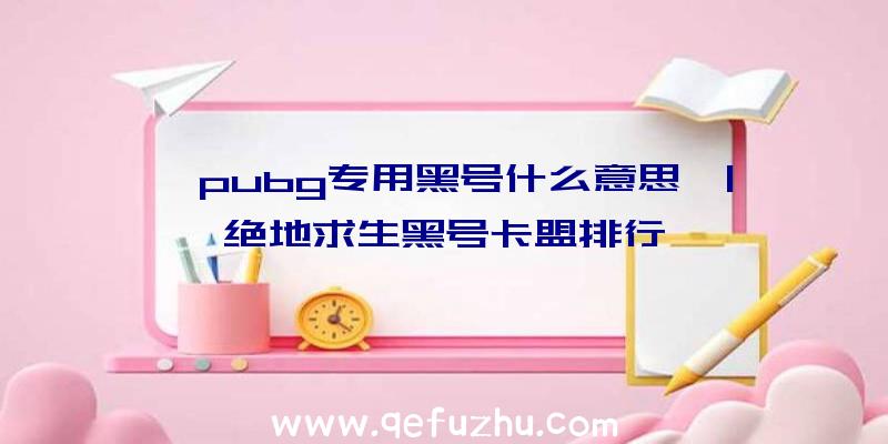 「pubg专用黑号什么意思」|绝地求生黑号卡盟排行